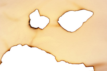 Sheet of paper with the scorched edgesの写真素材