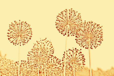 The stylised background with plants under an old photoの写真素材