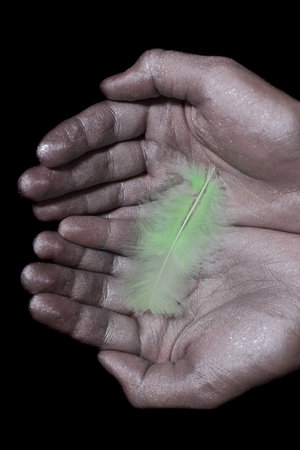 male hands in silver paint holding light green featherの写真素材