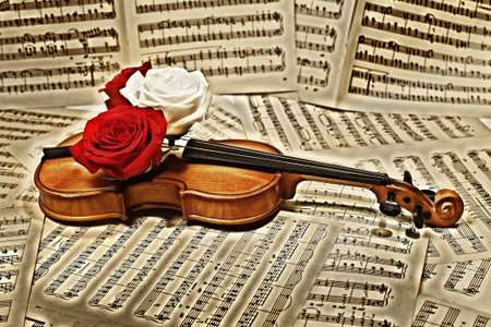 old violin with musical notes and roses closeupの写真素材
