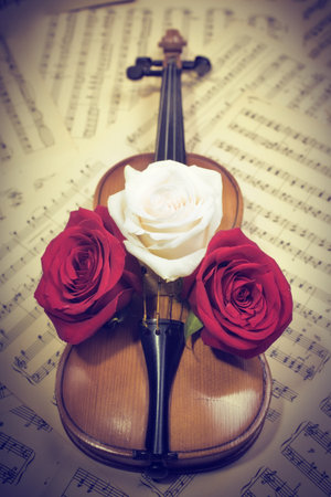 old violin with musical notes and roses closeupの写真素材