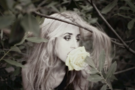 beautiful young woman with a white rose in his mouthの写真素材