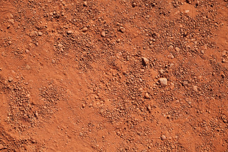 Texture of dry red clay with stones close-up