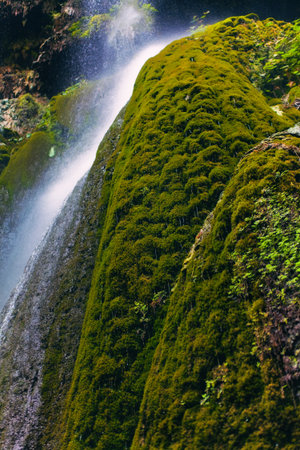 Waterfall in a green tropical forest