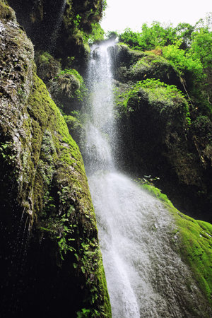 Tropical waterfall with a spray of water and plants