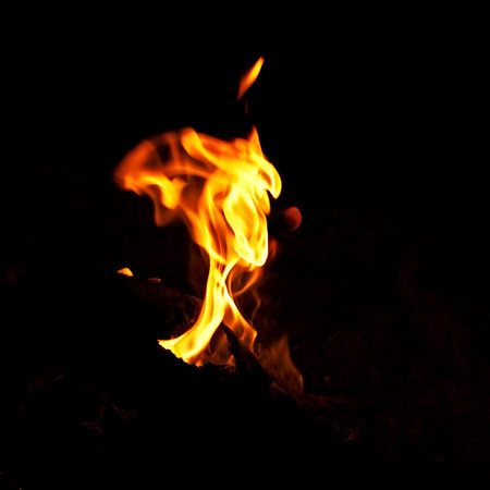 Bright fire burning in the dark closeup