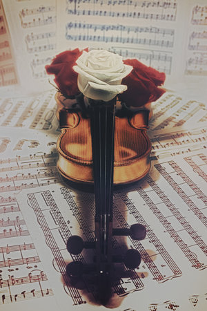 old violin with musical notes and rose closeupの写真素材