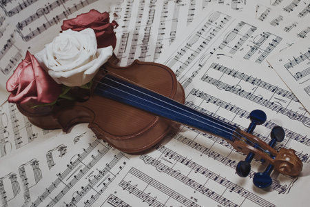 old violin with musical notes and rose closeupの写真素材