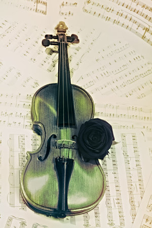old violin with musical notes and rose closeupの写真素材