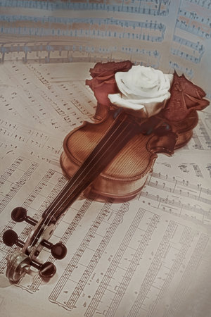 old violin with musical notes and rose closeupの写真素材