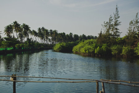 Tropical landscape with palm trees and the seaの写真素材
