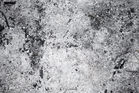 texture of the gray  wood ash close upの写真素材