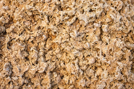 The texture of limestone blocks closeupの写真素材