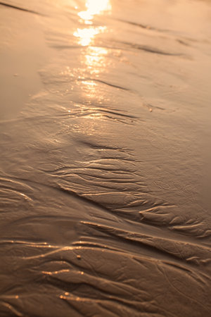 Wet golden beach sand reflects the rays of the setting sunの写真素材
