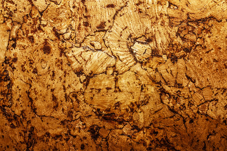 Texture of corkwood decoration material closeupの写真素材