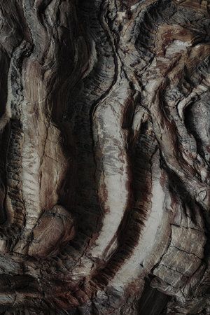 The texture of the rock breaking closeupの写真素材