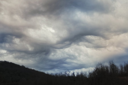 Landscape with forest and cumulus storm cloudsの写真素材
