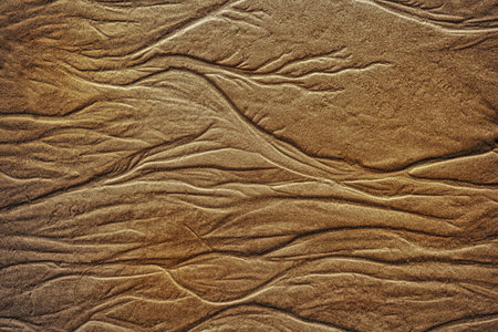 Texture of wet golden sea sand with traces of  water closeupの写真素材