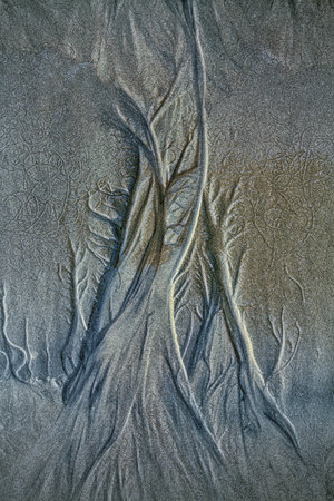 Texture of wet sea sand with traces of water macroの写真素材