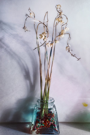 Still life with dry flowers in a glass vase closeupの写真素材