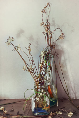 Still life with dry flowers in a glass vase closeupの写真素材