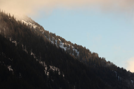 Misty valley in alps. Mountains slopes are covered with forestの写真素材