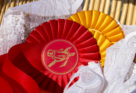 Award rosettes for winner in equestrian sport in red and yellow colors. Prize ribbons for horse show, champion competition, dressage.の写真素材