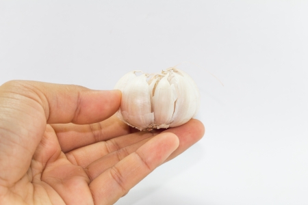 Garlic on hand の写真素材