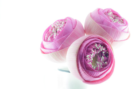 Folded Pink lotus flowers bouquet in vase isolated on white backgroundの写真素材