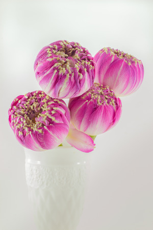 Pink lotus flowers bouquet in vase isolated on gray backgroundの写真素材