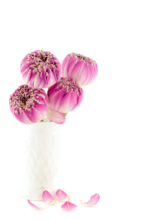 Pink lotus flowers bouquet in vase isolated on white backgroundの写真素材