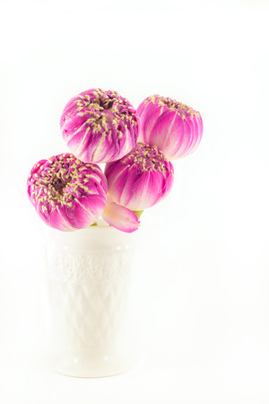 Pink lotus flowers bouquet in vase isolated on white background.の写真素材