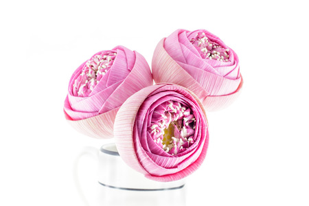 Folded Pink lotus flowers bouquet in vase isolated on white backgroundの写真素材