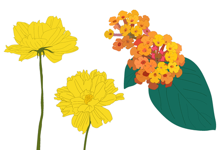yellow and colorful flowersのイラスト素材
