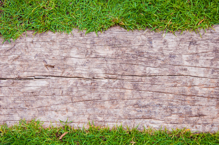 Fresh spring green grass over wood texture backgroundの写真素材