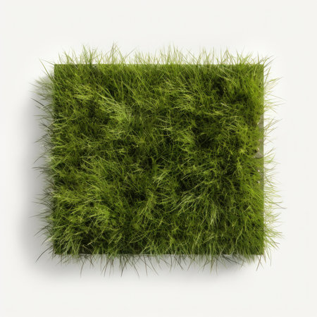 Green grass isolated on white background. 3D illustration. Top view.の素材