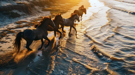 Horses running on the beach at sunset, motion blur effect.の素材