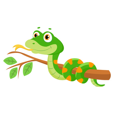 Illustration of cute green smiles snake on branch cartoon vector reptile isolated on white background, non venomous snake.のイラスト素材