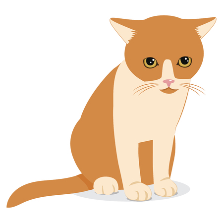Sad Forlorn Cat. Cartoon Vector Illustration. Lonely Cat Meme. Cat Face Picture. Cat Wants To Come In.のイラスト素材