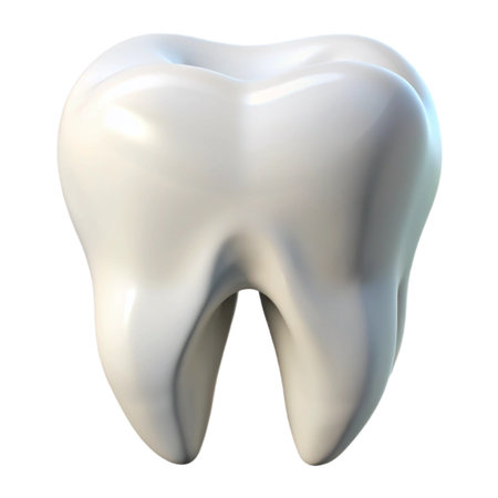 A healthy human molar tooth, 3d rendered with a shiny white surface, representing dental health, isolated on transparent backgroundの素材