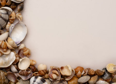 Sea shells frame background. Seashells for wallpaper. Colorful shells. Sea shells background. Marine...