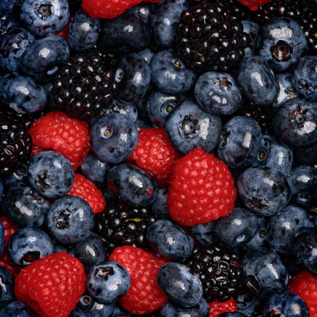 Wild berries. Ripe blackberries, blueberries, raspberries. Mix of garden berries. Forest fruit berry mix. Texture background. Ripe berries background.の写真素材
