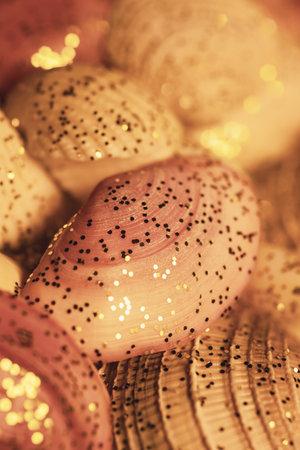 Ocean mollusk shells. Seashells. Seashell background. Texture of the shells. Seashell background. Colorful sea shells as background. Design banner.の写真素材