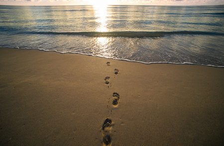 Sea under sundown sky with clouds. Sunset over sea or sunrise over sea. Sea sand beach.