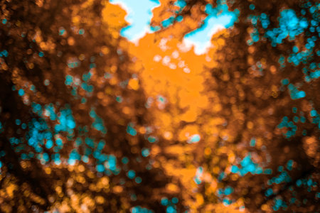 Yellow leaf background. Autumn leaf forest on blurred yellow background. Bokeh background. Autumn...
