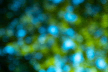 Green leaf blurred background. Bokeh nature background. Green leaf in forest. Leaves blurred backdrop. Bokeh green background. Green leaf in forest. Leaves blurred backdrop.の写真素材