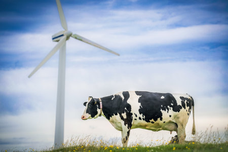 Wind energy. Ecology green energy concept. Eco farm. Eco farming. Green electricity. Wind generator power. Alternative energy. Cow on green field. Eco farm with cow. Cow farm.の写真素材