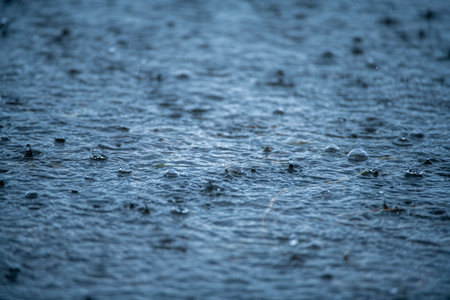 Raindrops background. Rain. Falling raindrops. Water drop splash. Abstract shape out of the water. Raining outside. Water texture.の写真素材