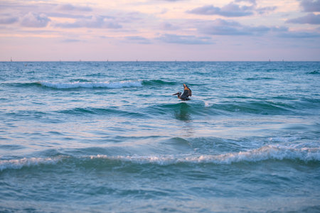 Sea waves for background or backdrop. Ocean waves and scenic seascape. Waves at beach. Waterscape for background.の写真素材