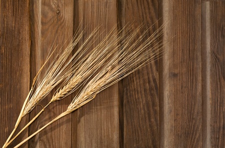 wheat on the wood backgroundの写真素材